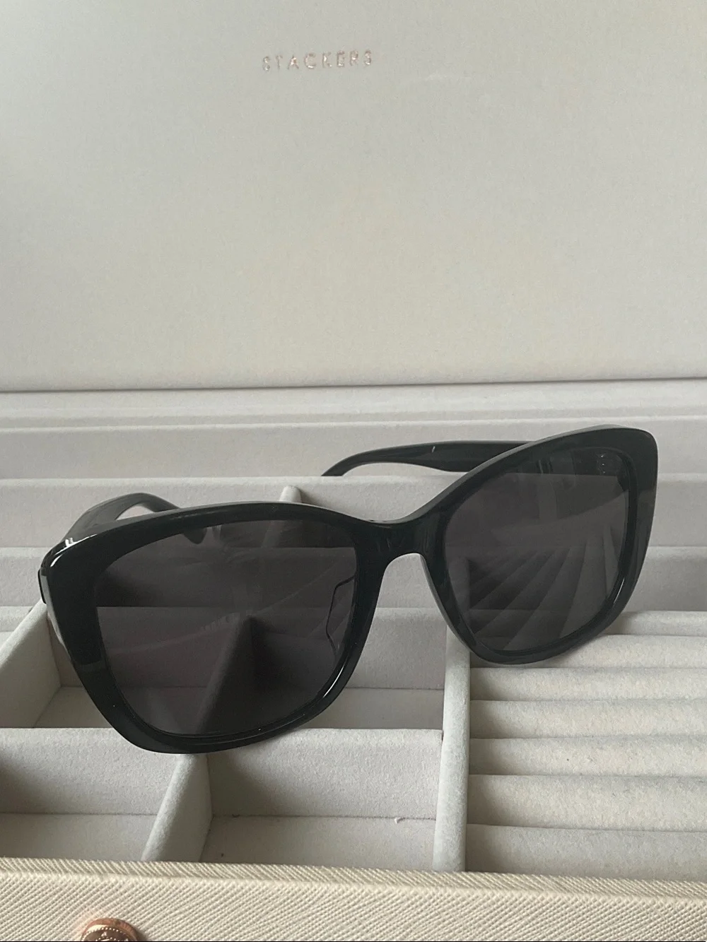 Bottega Veneta Black Oversized Cat-Eye Sunglasses